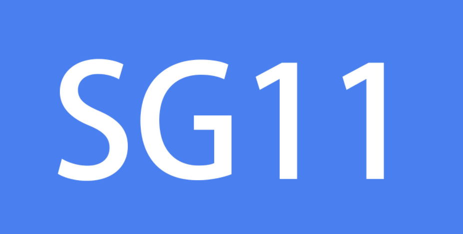 增加sg11（SourceGuardian）解密组件