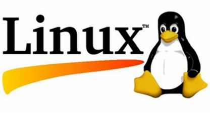 Linux磁盘挂载